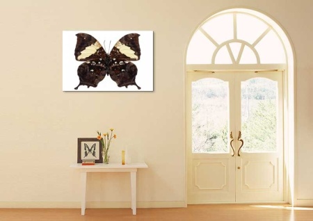 Tablou Canvas Fluturas