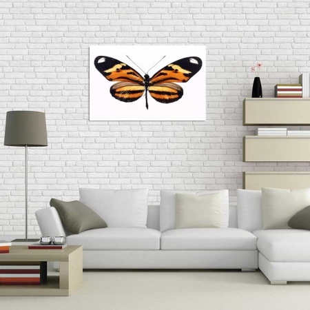 Tablou Canvas Fluturas