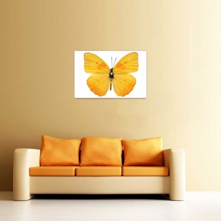 Tablou Canvas Fluturas