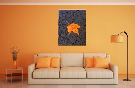 Tablou Canvas Frunze