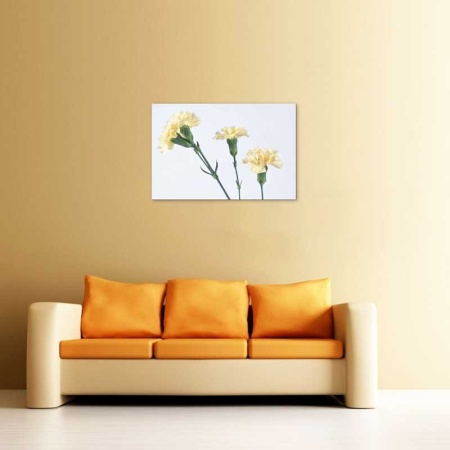 Tablou Canvas Garoafa