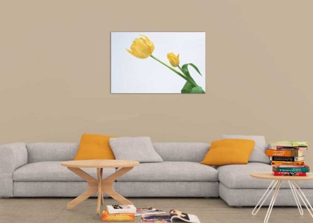 Tablou Canvas Lalea