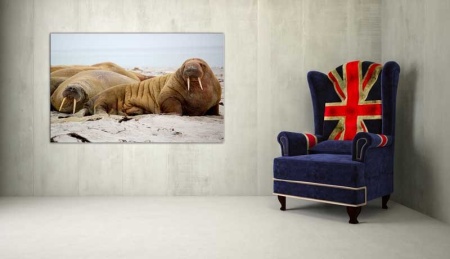 Tablou Canvas Morse