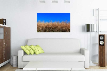 Tablou Canvas Natura Uscata