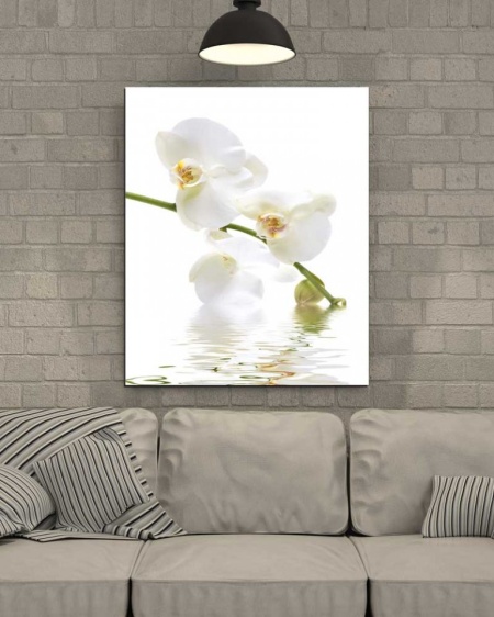 Tablou Canvas Orhidee
