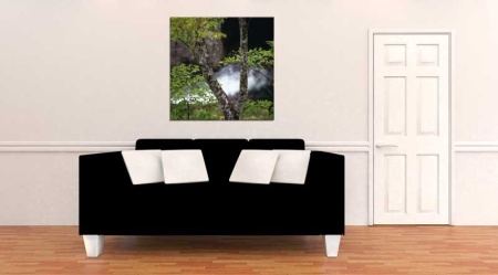 Tablou Canvas Padure