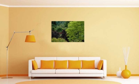 Tablou Canvas Padure