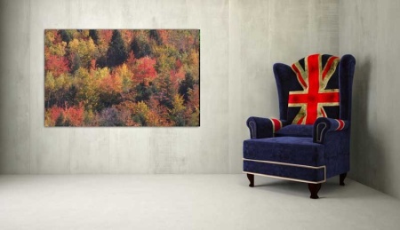 Tablou Canvas Padure