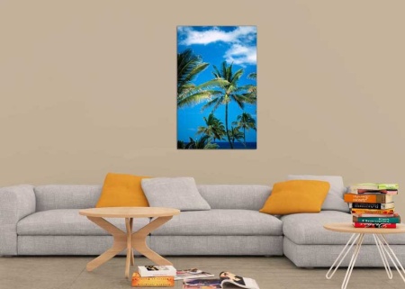 Tablou Canvas Palmier
