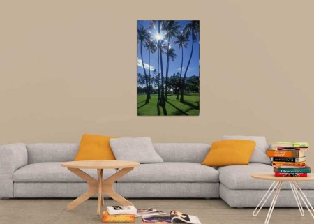 Tablou Canvas Palmier