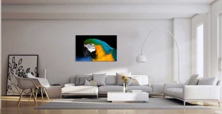 Tablou Canvas Papagal