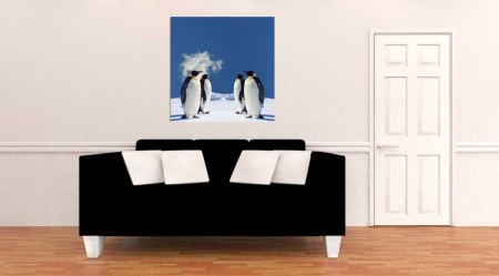Tablou Canvas Pinguini