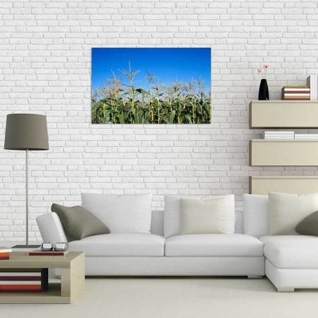 Tablou Canvas Porumb