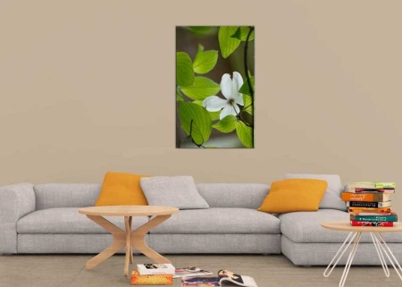 Tablou Canvas Primavara