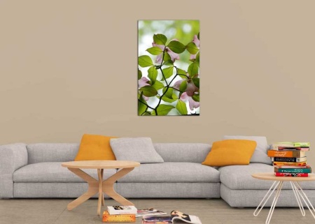 Tablou Canvas Primavara