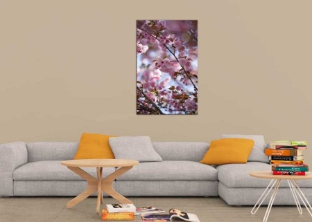 Tablou Canvas Primavara