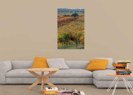 Tablou Canvas Vita de vie