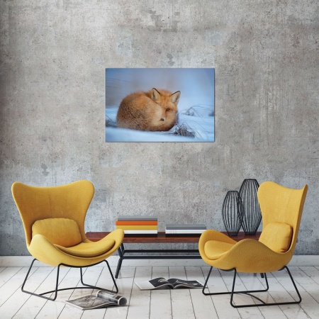 Tablou Canvas vulpe iarna