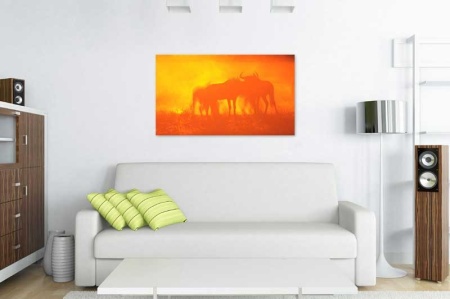 Tablou Canvas Africa
