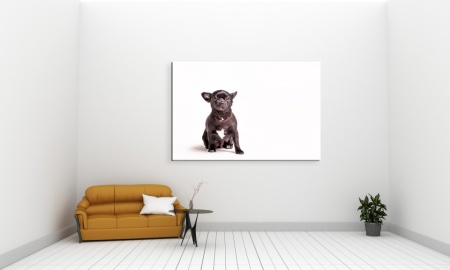 Tablou Canvas animale caine negru si mic