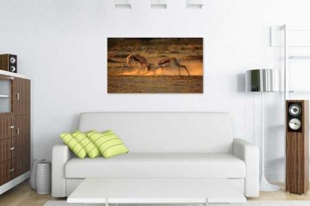 Tablou Canvas Antilope