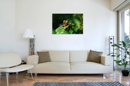 Tablou Canvas Broasca