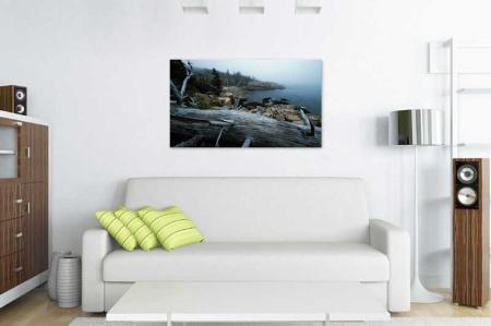 Tablou Canvas Bustean