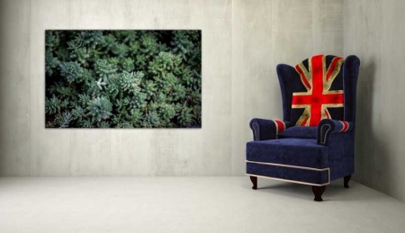 Tablou Canvas Cactus
