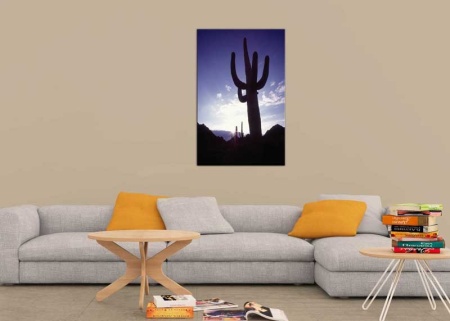 Tablou Canvas Cactus