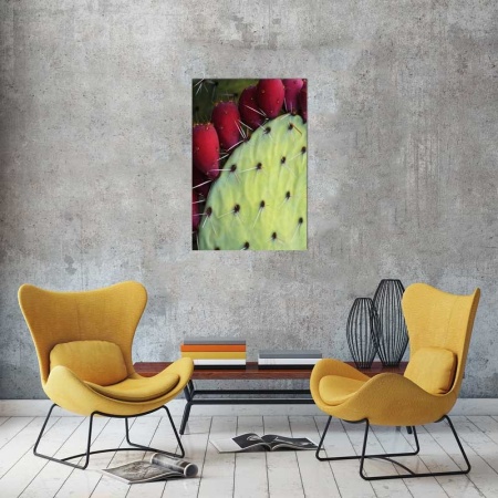 Tablou Canvas Cactus
