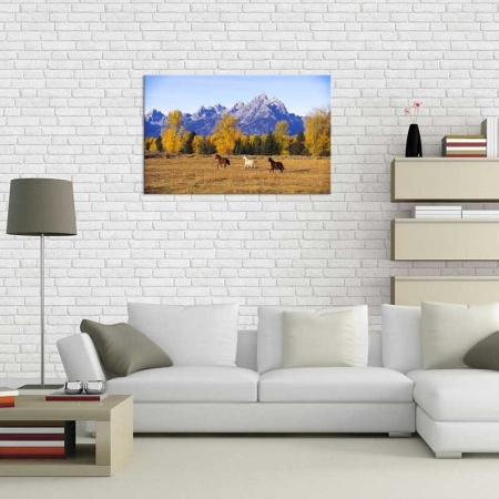 Tablou Canvas Cai pe Camp