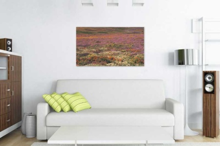 Tablou Canvas Camp cu flori