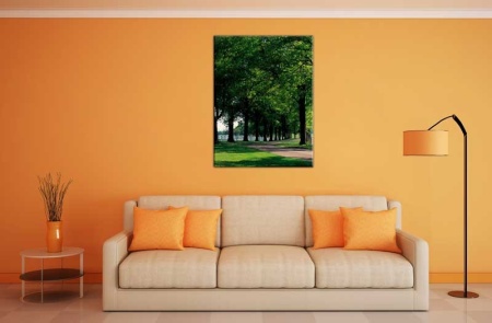 Tablou Canvas Copaci