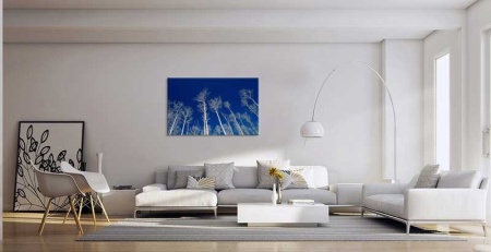 Tablou Canvas Copaci
