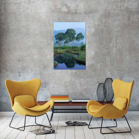 Tablou Canvas Copaci