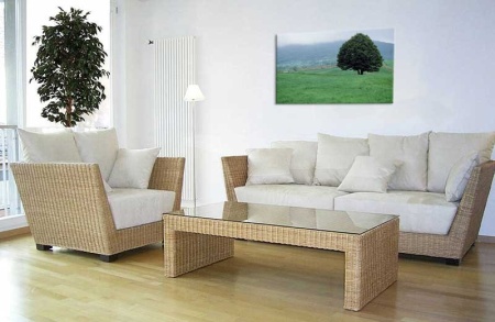 Tablou Canvas Copaci
