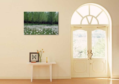 Tablou Canvas Copaci