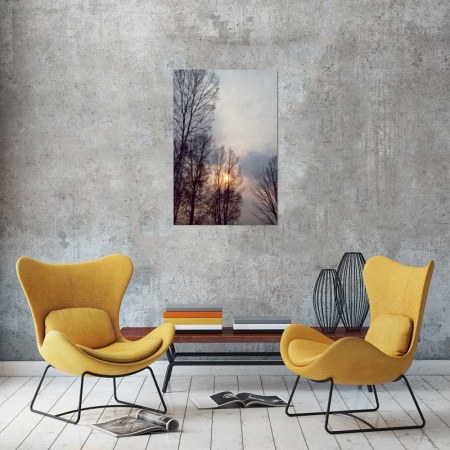 Tablou Canvas Copaci