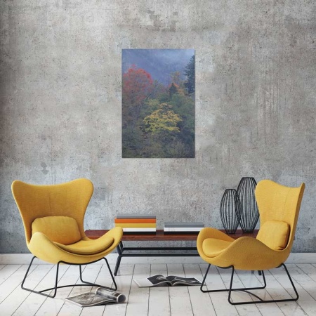 Tablou Canvas Copaci