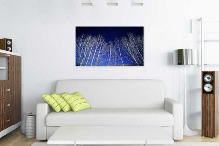 Tablou Canvas Copaci