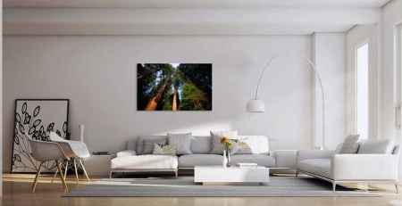 Tablou Canvas Copaci