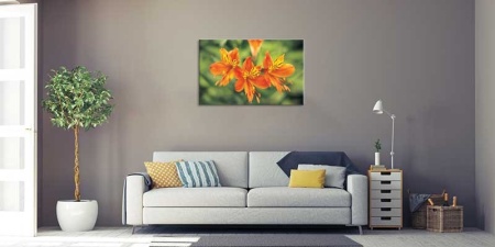 Tablou Canvas Crin
