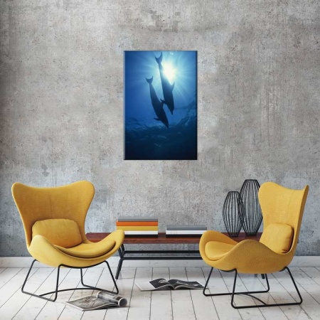 Tablou Canvas Delfini