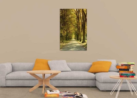 Tablou Canvas Drum prin padure