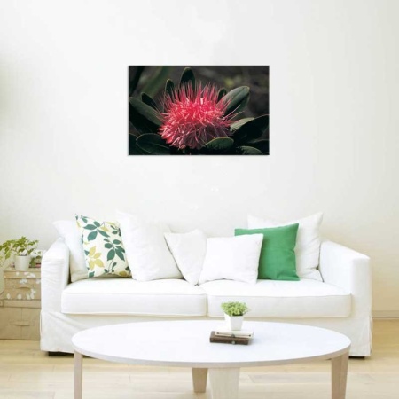 Tablou Canvas Floare Detaliu