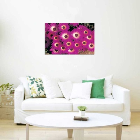 Tablou Canvas Floare Detaliu