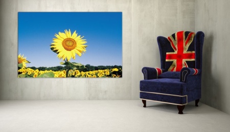 Tablou Canvas Floarea Soarelui