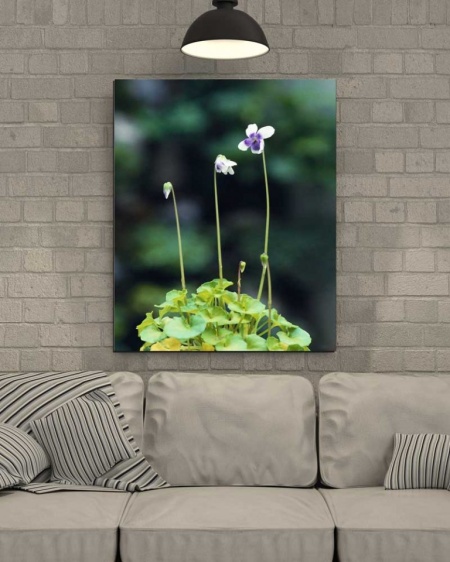 Tablou Canvas Floare