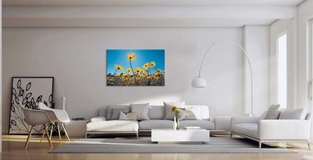 Tablou Canvas Flori de camp
