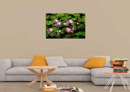 Tablou Canvas Flori de nufar